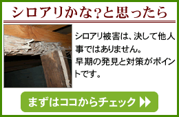 しろありかな?と思ったら