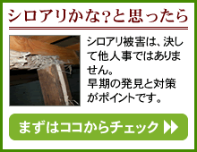 �V���A�����ȁH�Ǝv������